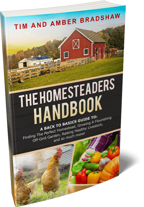 The Homesteader's Handbook